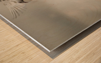 Landing Wood print