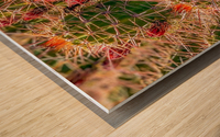 Cacti Wood print