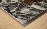 Pinecone  Wood print