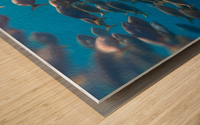 School of fish oil painting style Wood print