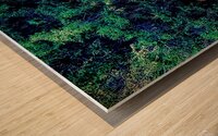 New Light Wood print
