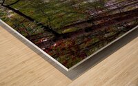 Abbey Woods Wood print