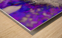 Abstract Coloured Dandelion Seeds Close Up Wood print