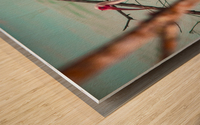 Ibis- oil painting Wood print
