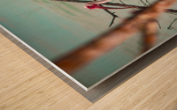 Ibis Wood print