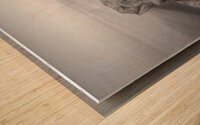 Cahuita Beach Driftwood White on White Wood print