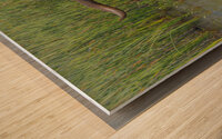 Heavy Metal Wood print
