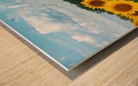 Amazing Sunflowers Wood print