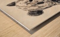 panda sketch 2408245 Wood print