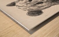 panda charcoal 2408244 Wood print