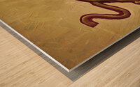 Retro Pulaski County Cougar Art Wood print