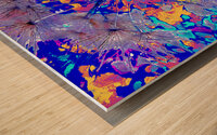Vibrant Abstract Dandelion Seeds   Wood print