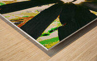 Abstract Dark Daisy  Wood print