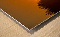 Sunlit Passage Wood print