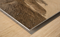 Sand and Rock Wood print