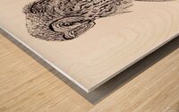 108 owl Wood print