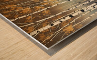 Golden Birch Trees At Dusk 4647 Wood print