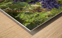 Grapes on the Vine Wood print