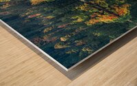 Fall Colors at a Lake in the Black Forest Wood print