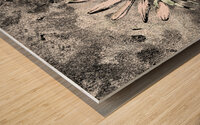 Abstract Single Daisy Wood print