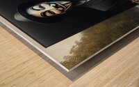 737 Wood print