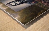 733 Wood print