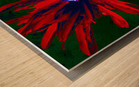 Abstract Red and Purple Daisy Wood print