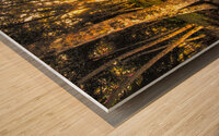 Playa Grande en Cahuita Beach Wetlands Wood print