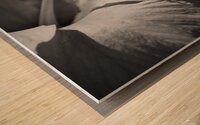 Monochrome Floral Wood print