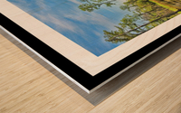 Down on the Bayou - HDR - White Border  - Black Border Wood print