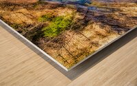 Aerial view Taughannock Falls  Wood print