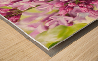 Lilacs Wood print