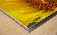 Natures Harmony Wood print