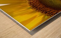 C5E97E83 52FF 4CFE B8DE 96A9A28DD3E3 Wood print