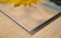 7B1793E9 D3E2 4C90 B992 E19E216B249B Wood print