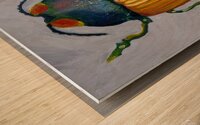 Beetle Wood print