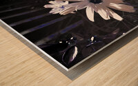 Abstract White Daises Wood print