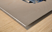 M2 Generation Blue Wood print