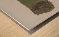 United States Relief Map Print Wood print