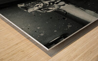 mindsett Wood print