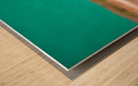 BZ9 7189 Enhanced NR Wood print