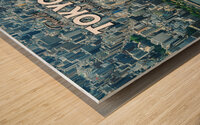 Tokyo Japan9 Wood print