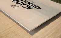 Acadia National Park Wood print
