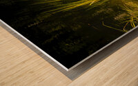 Marsh Grass Evening  Reflections Wood print