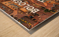 Bologna Italy4 Wood print