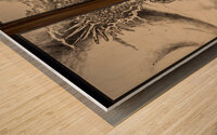 Traditional japanese dragon painting on sliding doors  Wood print