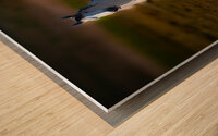 BZ9 5294 Enhanced NR Wood print