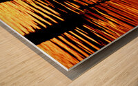 Sunrise Reflections Tomales Bay X3 Wood print