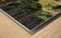 Scenes from the Trail - Sunlight Forest Trail  Wood print