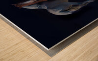 BZ9 0763 Enhanced NR 2 Wood print